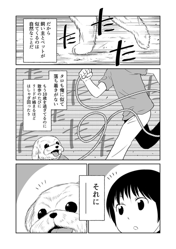 「ペット」02