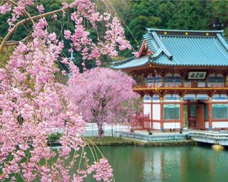 山を下りれば箕面グルメも充実！薄紅の桜が美しい勝尾寺
