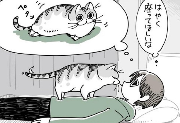 愛猫の 重さ も くすぐったさ も愛おしい 飼い主のお腹の上を 探検 するネコ漫画に共感の嵐 ウォーカープラス