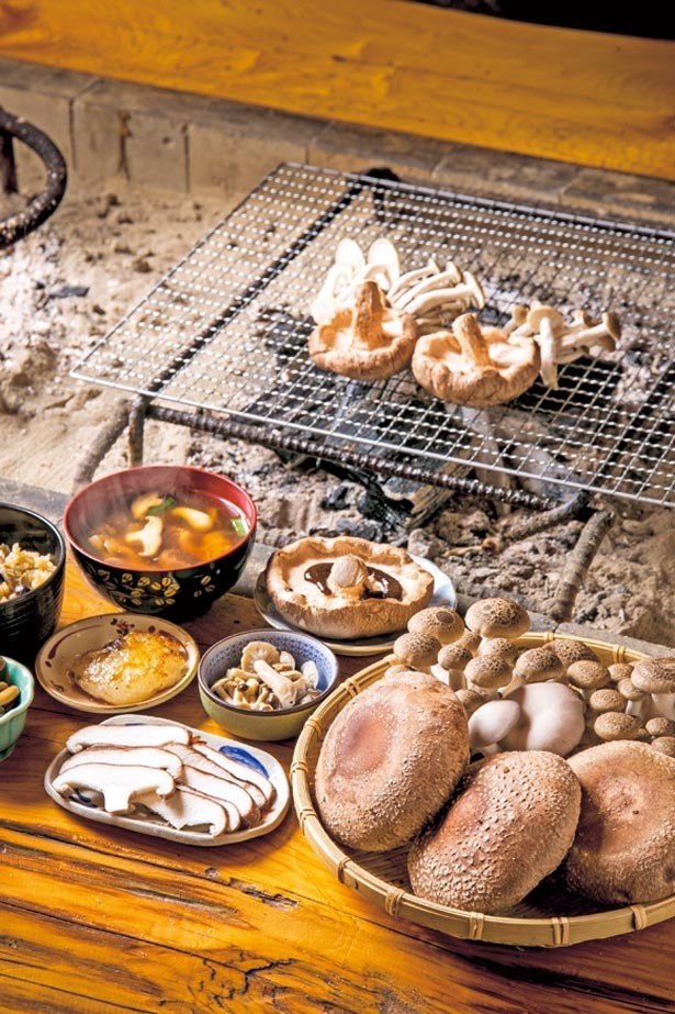 炭火で焼く網焼きをはじめ、シイタケのお造り、シイタケ味噌焼き、キノコご飯など、約10品がセットの「きのこフルコースA」(2000円)/きのこの舘