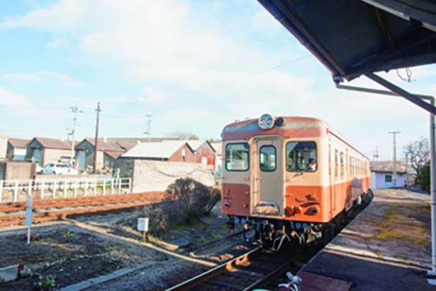 花々が魅せる青の絶景 ローカル線で巡る茨城日帰り旅 ウォーカープラス