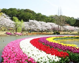 今週末に行ける！東海エリアの注目イベント5選 [2017年3月24日(金)～26日(日)編]