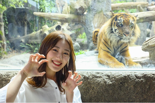 NMB48・南羽諒が動物とイチャイチャ！弾ける笑顔に癒やされる「はあさのハッピーあにまる図鑑」特別編｜ウォーカープラス