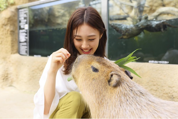 はあさちゃんが大好きな動物たちと急接近！