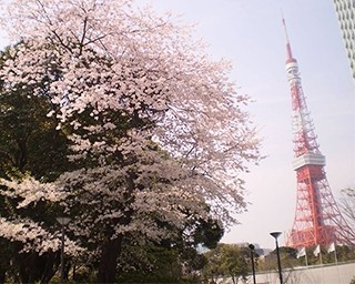 桜×ミュージックで気分を上げる！東京・名古屋・大阪・福岡の人気DJ一押しプレイリスト