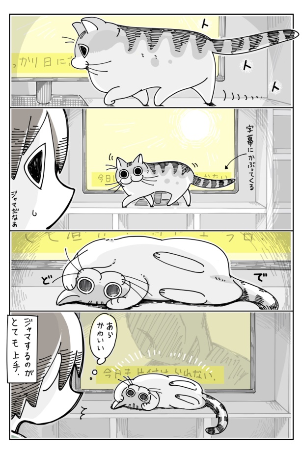 画像56 / 183＞【ネコ漫画】キュルZ(@kyuryuZ)さん漫画まとめ 