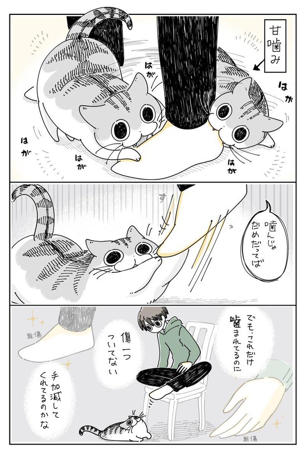 本気じゃないの知ってるよ 愛猫からの 甘噛み攻撃 はかまってアピール 猫あるある漫画にホッコリ ウォーカープラス