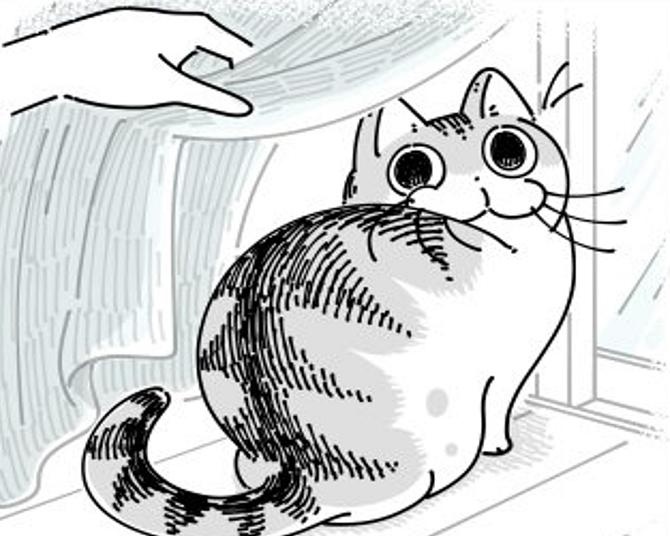 【漫画】「愛猫が脱走…!?」かくれんぼ中のネコちゃんに振り回される飼い主と、まさかの結末に「そこかい！」の声