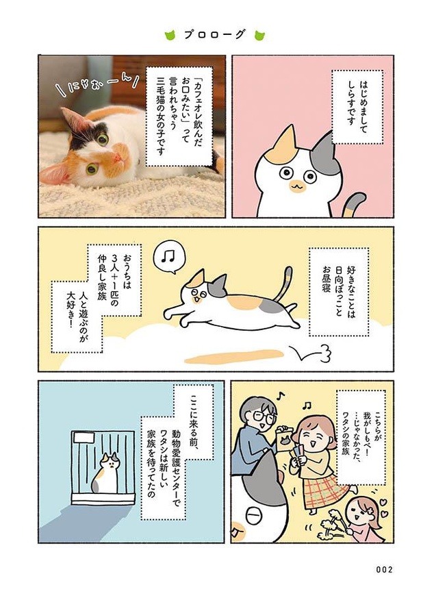 漫画 猫と暮らしたい そんな想いを抱く人へ送る ペットショップ以外の選択肢 ねこ活はじめました かわいい 愛しい だから知っておきたい保護猫のトリセツ 1 3 ウォーカープラス