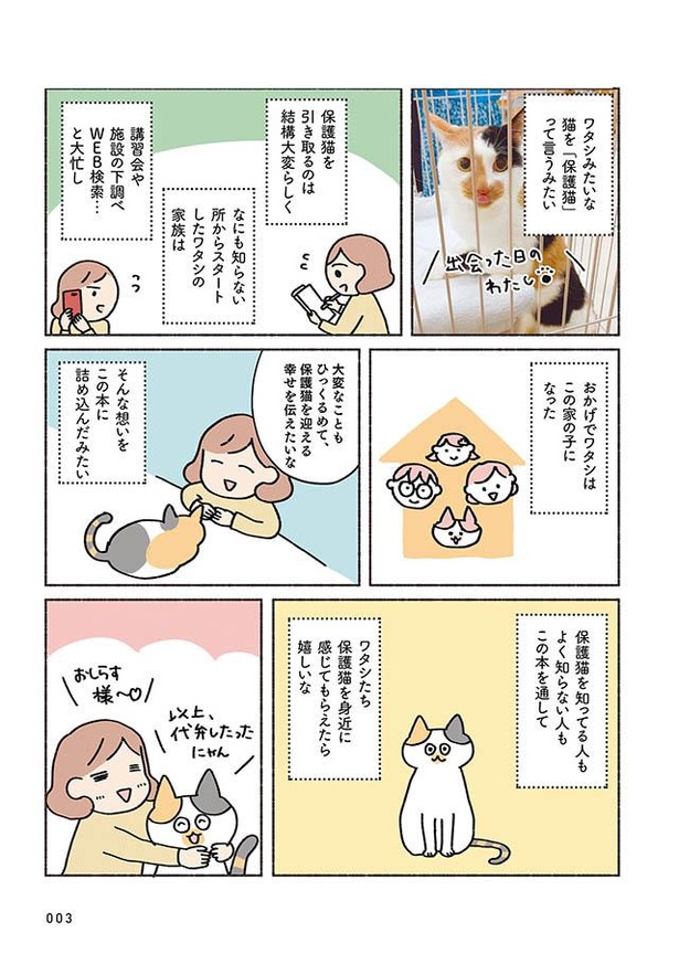 漫画 猫と暮らしたい そんな想いを抱く人へ送る ペットショップ以外の選択肢 ねこ活はじめました かわいい 愛しい だから知っておきたい保護猫のトリセツ 1 3 ウォーカープラス