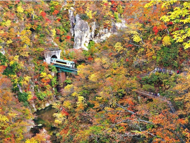 高さ約100メートルの渓谷に広がる紅葉は圧巻