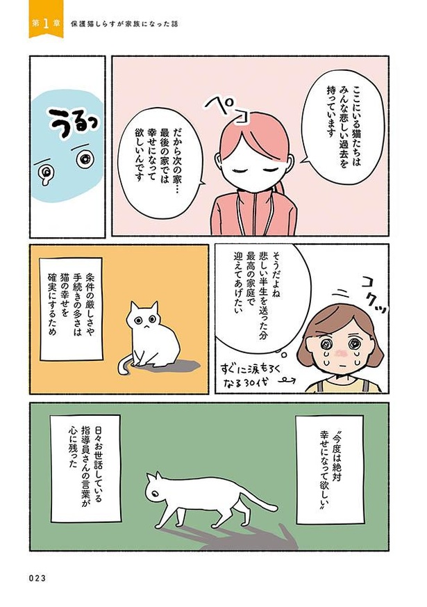 漫画 意外と多いお迎えするための 条件 思わず涙するその理由とは ねこ活はじめました かわいい 愛しい だから知っておきたい保護猫のトリセツ 1 2 ウォーカープラス