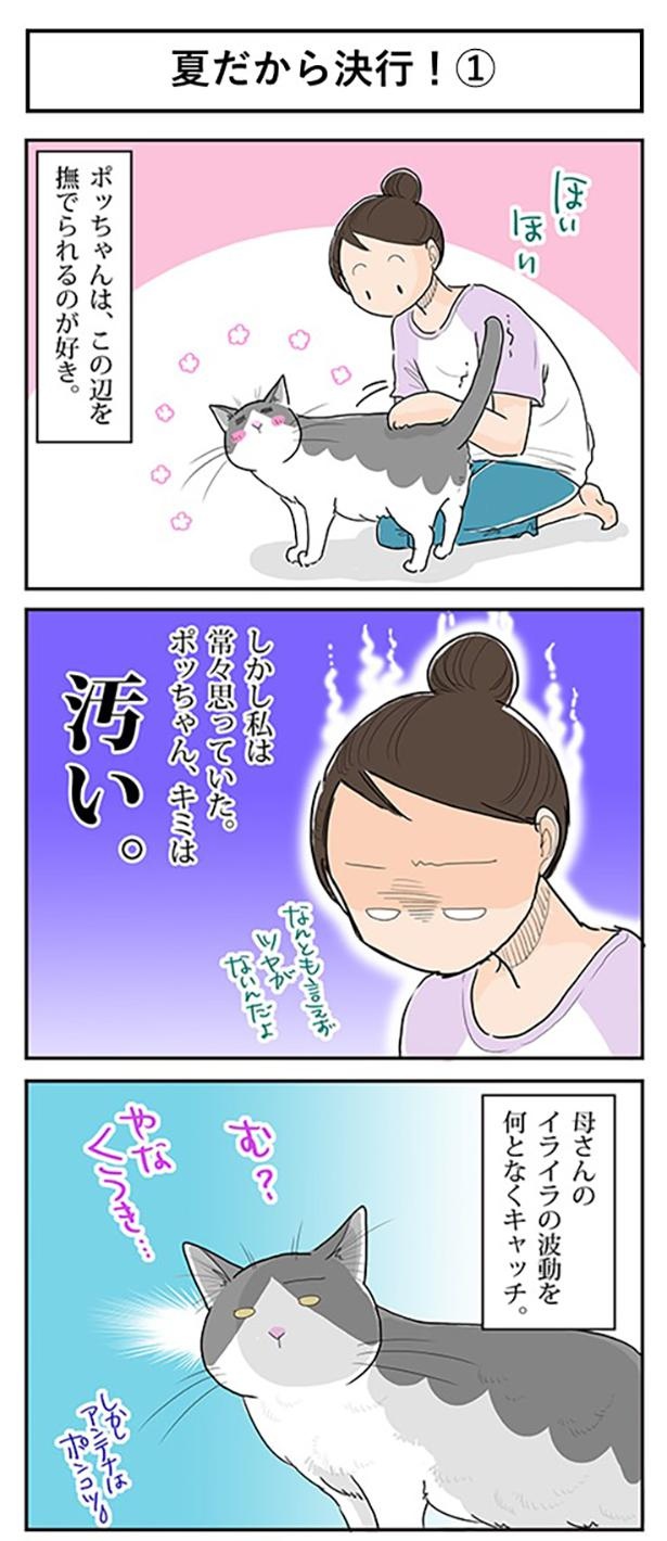 夏だから決行！1-1