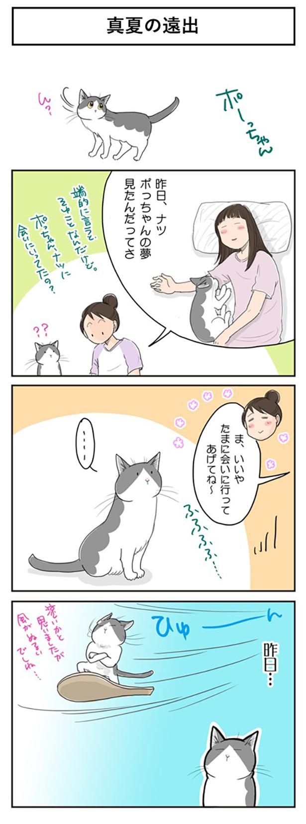 真夏の遠出1