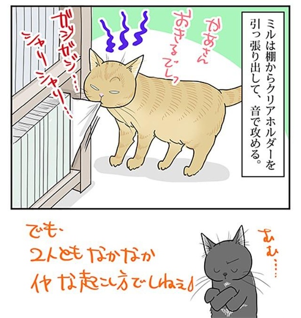 圧のかけ方_3/4