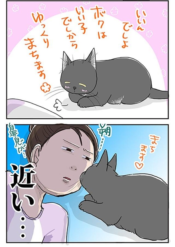 圧のかけ方_4/4