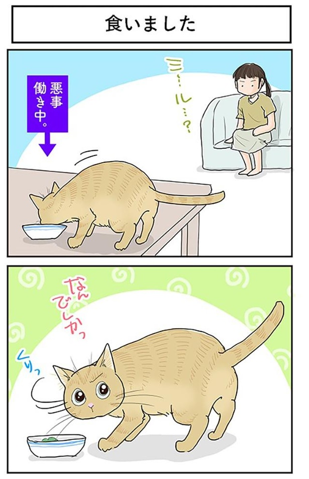 食いました_1/4