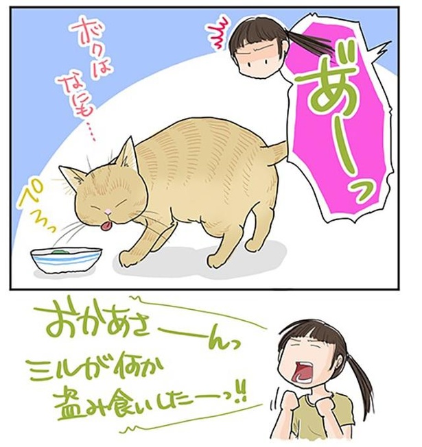 食いました_2/4