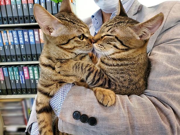 ■画像をクリックで次へ！／見た目はそっくりだけど、甘えん坊レベルはルイくん(左)が上