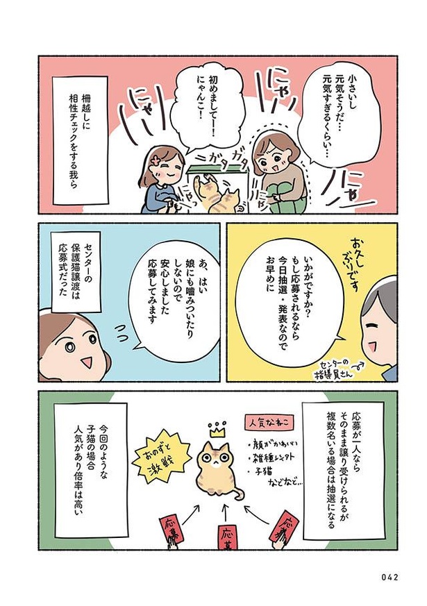 漫画 ついに愛護センターで保護猫の募集が 迷わず子猫に応募しようとしたけれど ねこ活はじめました かわいい 愛しい だから知っておきたい保護猫のトリセツ 2 2 ウォーカープラス