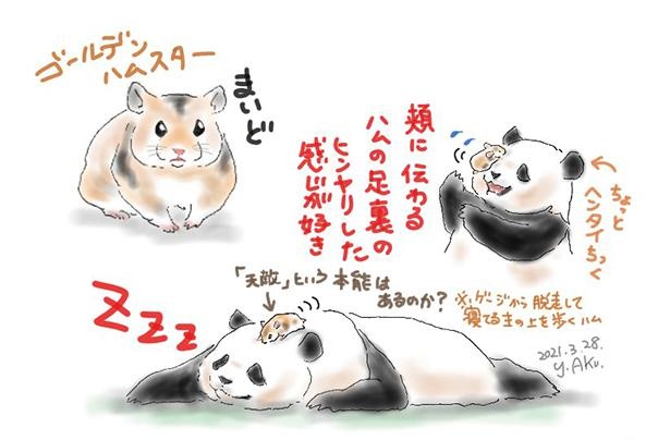 ハムスター