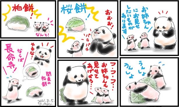 画像1 49 パンダ漫画 日常の笑い話を描く話題のパンダ漫画を一気読み ウォーカープラス