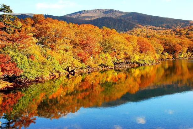【写真】秋晴れの青空と紅葉が湖面に映える須川高原の紅葉