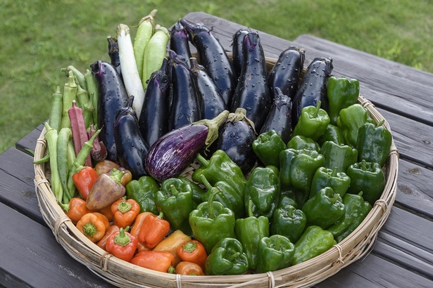 収穫した野菜は、BBQの食材に利用することも可能