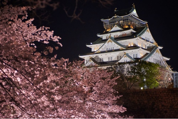 絶景な桜が楽しめる 大阪の人気 花見スポット 5選 ウォーカープラス