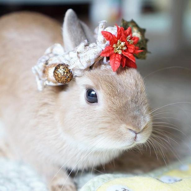小梅のクリスマス6_リースの髪飾りでおしゃれ