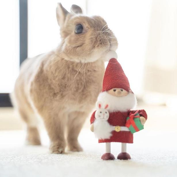 小梅のクリスマス9_サンタさん、プレゼントください！