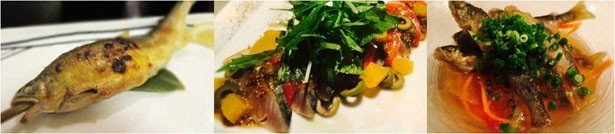 【写真を見る】地元のシーフードをはじめ、こだわりの食材を使った料理が味わえる