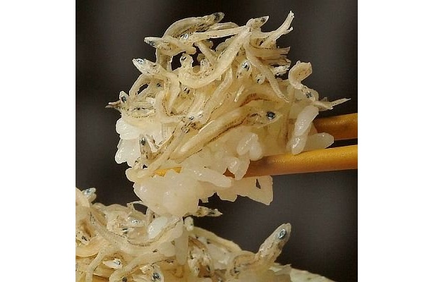 2位のちりめんもごはんが進みそう…【ほか10位までの商品画像も！】