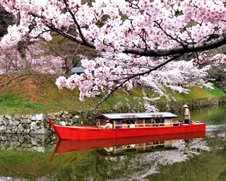 琵琶湖や彦根城も満喫！日本遺産と桜を楽しむ滋賀の絶景クルーズ5選