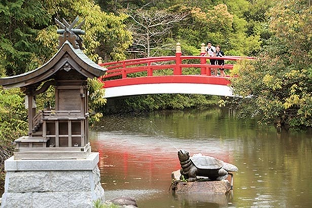 カメの噴水がかわいい神池にはあでやかな朱塗りの橋が/伊弉諾神宮