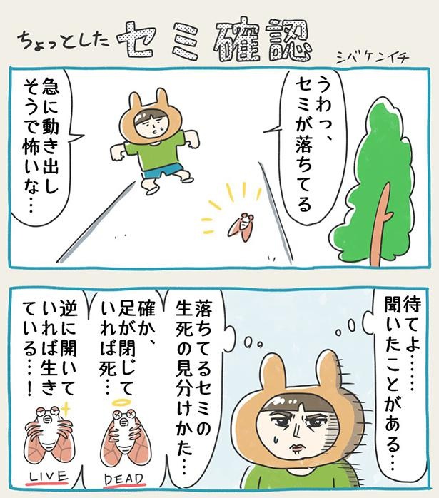 漫画「ちょっとしたセミ確認」
