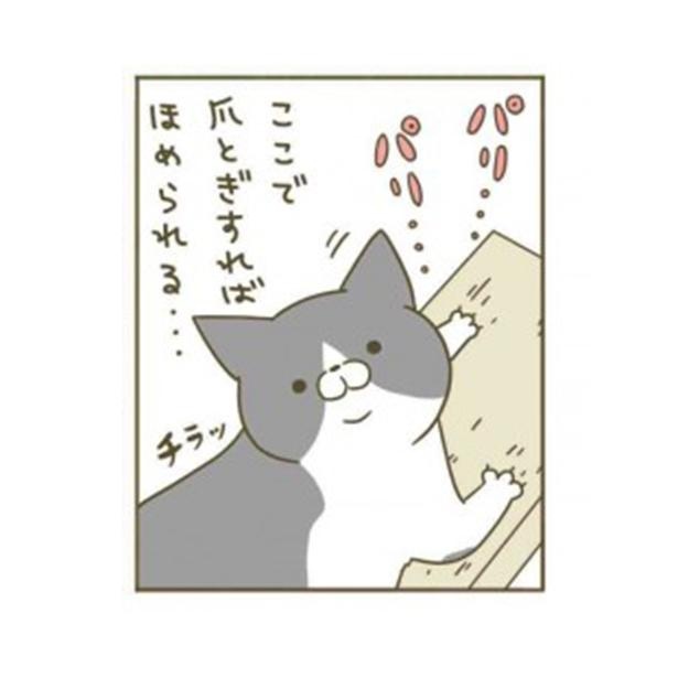 漫画 上手にできたら褒めまくれ 爪とぎの場所をばっちり覚えた愛猫の行動 うちの猫がまた変なことしてる 1 2 ウォーカープラス