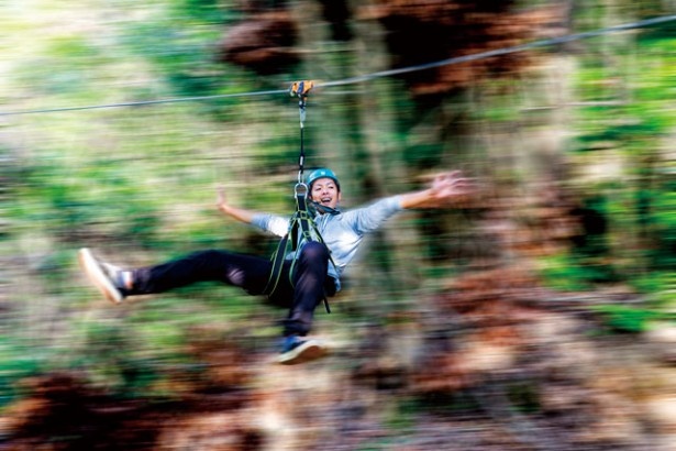 【写真を見る】「森の駅 たるみず」では、木から木へと張られたワイヤーロープを体一つで滑り降りるジップラインが楽しめる