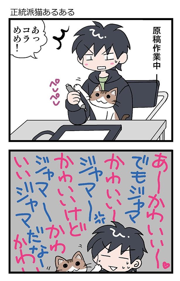 ★初猫物語_006_右1