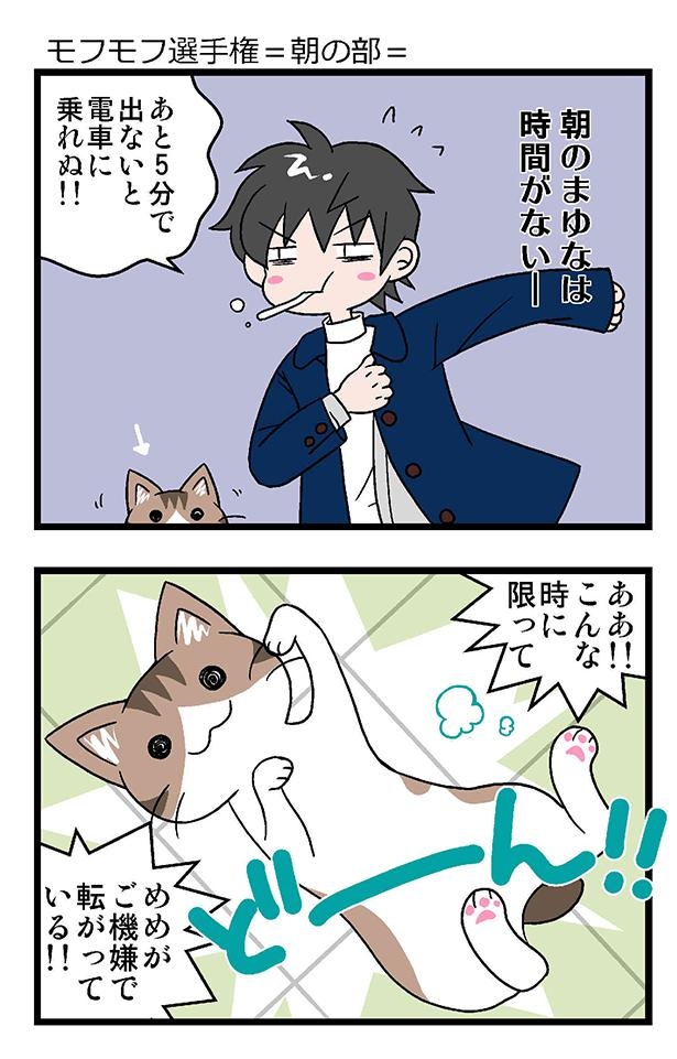 画像5 109 漫画 初猫物語 猫を飼ったら 想像をはるかに超える最強の激かわでした ウォーカープラス