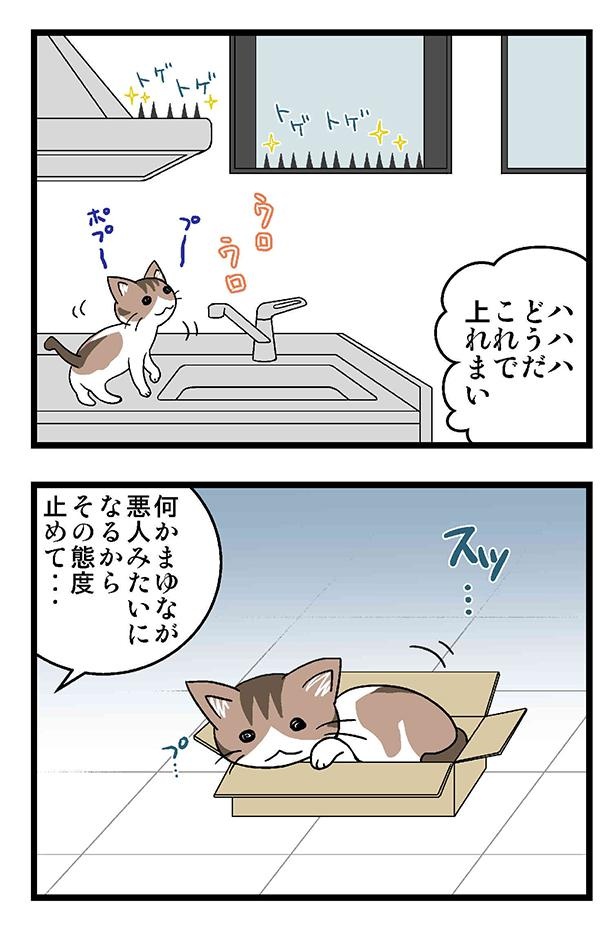初猫物語_026_右2