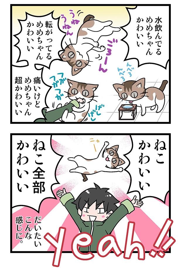 初猫物語43-2