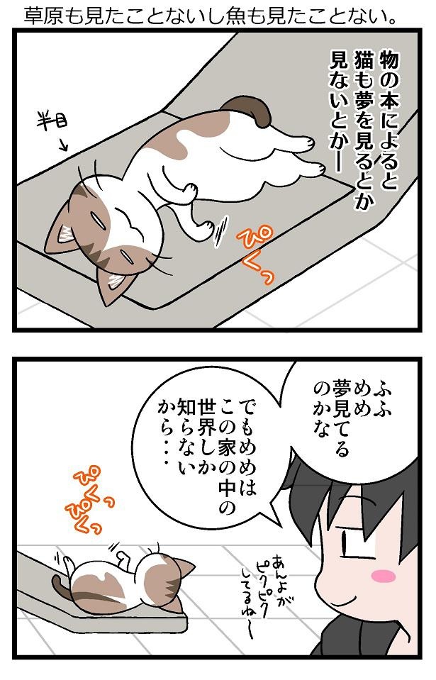 初猫物語_45-1