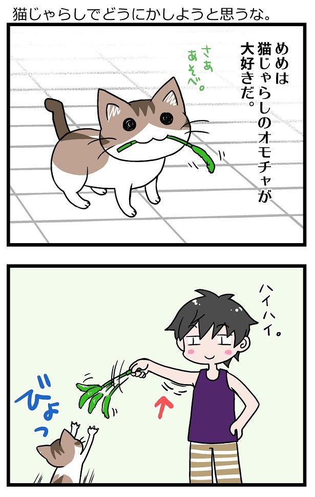 初猫物語_41-1