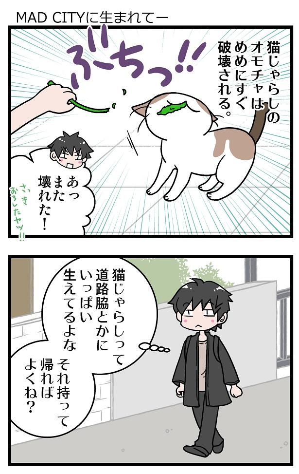 初猫物語_48-1