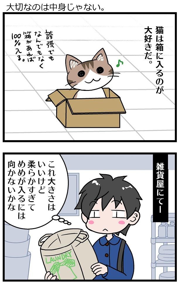 画像5 127 漫画 初猫物語 猫を飼ったら 想像をはるかに超える最強の激かわでした ウォーカープラス