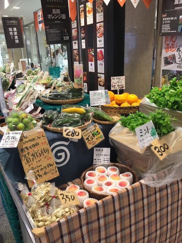 大丸梅田店の地下1階東入り口スペースで定期的に開催される、野菜の直売「たんとマルシェ」