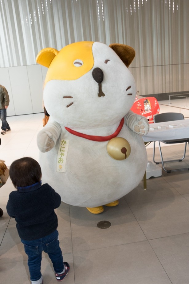 神奈川県・いいにゃクリエイターの「かにゃお」。大きな丸々ボディで、神奈川のまちのいいところを発信しに来たよ?!