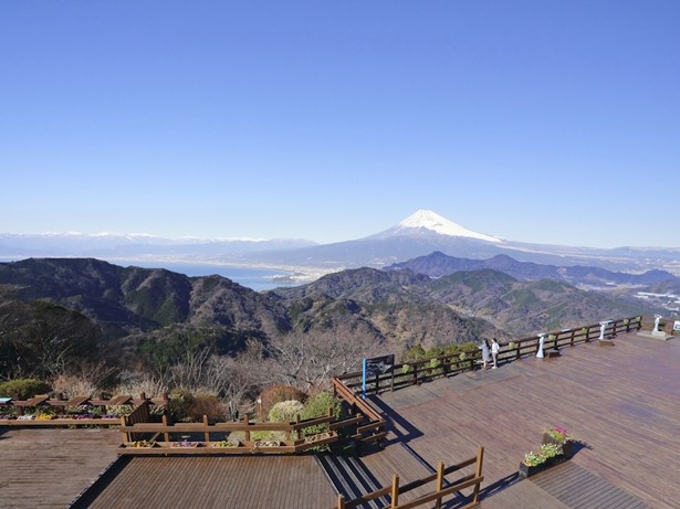 富士山と駿河湾が一望できるスポットは!?