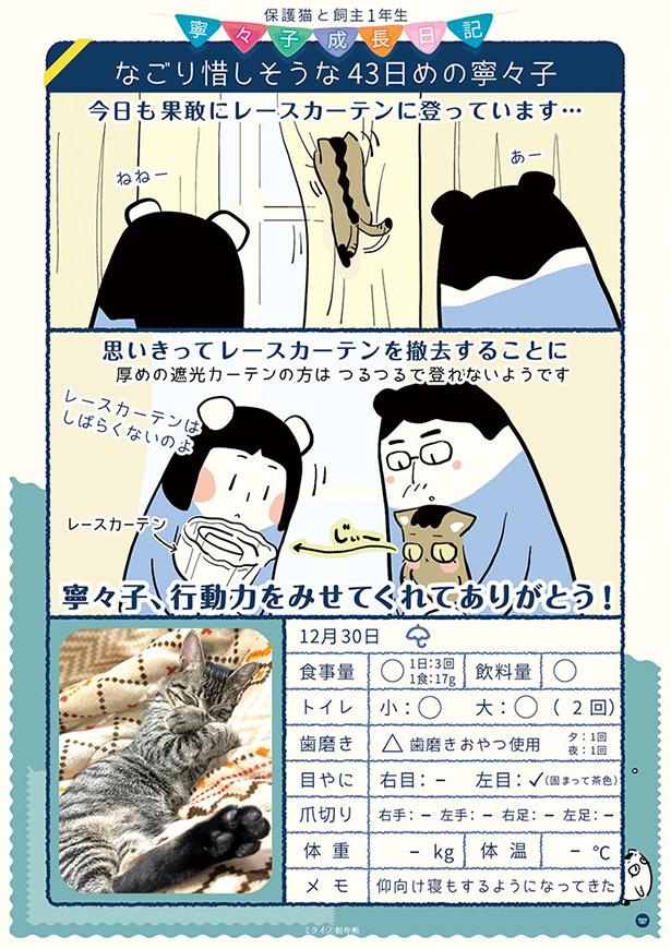 保護43日目